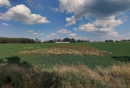 Prodej pozemku , zahrada, Řepeč, Kášovice (okres Tábor)
