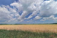 Prodej pozemku 33 092 m2, zemědělská půda, Řepeč, Hájky (okres Tábor)