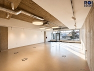 Pron�jem obchodn�ch prostor, Brno, �idenice (okres Brno-m�sto)