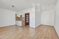 Pron�jem bytu 1+kk, 39 m2, OV, Ch�n� (okres Praha-z�pad), ul. Uherova