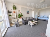 Prodej bytu 1+1, 0 m2, DV, �ternberk (okres Olomouc), ul. U St�elnice