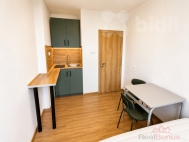 Pron�jem bytu 1+kk, 17 m2, DV, T�inec, Ly�bice (okres Fr�dek-M�stek), ul. Beskydsk�