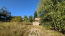PXL_20260906_151110194.MP.jpg
