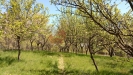 B�ezov� 1029.jpg