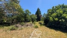 PXL_20260529_105643125.MP.jpg