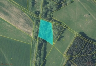 Prodej pozemku 4 529 m2, trvalý travní porost, Broumov, Rožmitál (okres Náchod)