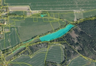 Prodej pozemku 81 753 m2, zemědělská půda, Benešovice, Lom u Stříbra (okres Tachov)