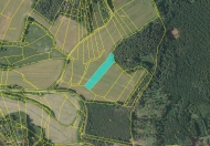 Prodej pozemku 19 593 m2, zemědělská půda, Chlumy (okres Plzeň-jih)