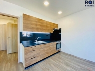 Pron�jem bytu 1+kk, 33 m2, OV, Brno, �idenice (okres Brno-m�sto), ul. Velkopavlovick�