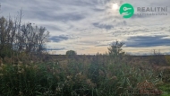 Prodej pozemku , zemědělská půda, Dubňany (okres Hodonín)