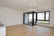 Pronájem bytu 1+kk, 41 m2, OV, Praha 3, Žižkov, ul. Kaplířova