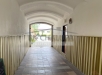 IMG_7254.jpeg
