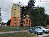 Pron�jem bytu 1+1, 41 m2, OV, Dob�any (okres Plze�-jih), ul. Loud�