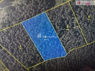 Prodej pozemku , les, Nebahovy, Jelemek (okres Prachatice)