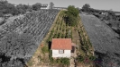 dron _ zahrada _ Mikulov _ 25 _ U.jpg