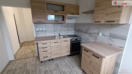Pron�jem bytu 2+1, 50 m2, OV, Lu�t�nice, Zelen� (okres Mlad� Boleslav)