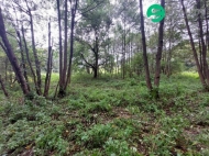 Prodej pozemku , určený k výstavbě RD, Červená Voda, Dolní Orlice (okres Ústí nad Orlicí)