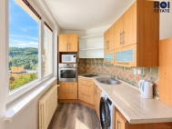 Pron�jem bytu 2+1, 50 m2, OV, Adamov (okres Blansko), ul. Dru�stevn�