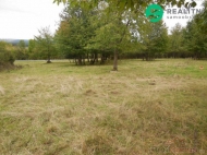 Prodej pozemku , určený k výstavbě RD, Konstantinovy Lázně, Dlouhé Hradiště (okres Tachov)