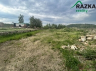 Prodej pozemku , určený pro komerční výstavbu, Lestkov, Domaslav (okres Tachov)