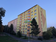 Prodej bytu 1+1, 0 m2, DV, Chomutov, ul. Borov�