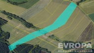 Prodej pozemku , zemědělská půda, Krucemburk (okres Havlíčkův Brod)