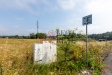 1S4A6732.jpg