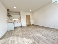 Pron�jem bytu 2+kk, 41 m2, OV, �esk� L�pa, ul. St�elnice