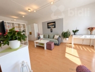 Prodej bytu 1+1, 49 m2, DV, �ternberk (okres Olomouc), ul. U St�elnice
