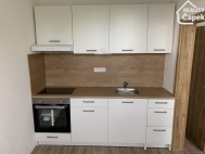 Pron�jem bytu 1+1, 31 m2, DV, Ostrava, Dubina (okres Ostrava-m�sto), ul. Aloise Gavlase