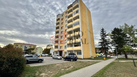 IMG_6050.JPG