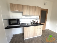 Pron�jem bytu 1+kk, 20 m2, OV, Plze�, Lobzy (okres Plze�-m�sto), ul. Dlouh� - exkluzivn�