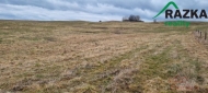 Prodej pozemku , zemědělská půda, Chodský Újezd, Neblažov (okres Tachov)