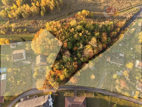 DJI_20261021080927_0003_D.JPG