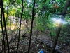 IMG_20260814_184928.jpg