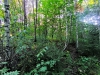 IMG_20260814_184723.jpg