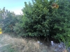 IMG_20260814_184534.jpg