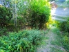 IMG_20260814_185122.jpg