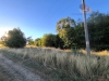 IMG_20260814_185513.jpg