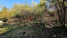 20261020_135033.jpg