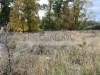 IMG_7874.jpeg